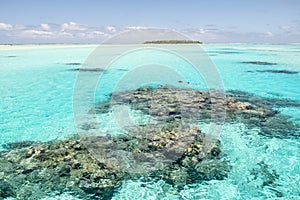 Couple snorkeling in turquoise clear water with coral reefs, South Pacific Ocean with Island, Aitutaki, Cook Islands