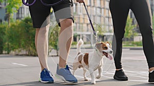 A couple spend leisure outdoors, walks and steps in unison with pet, a Jack Russell Terrier dog, on a warm summer day in