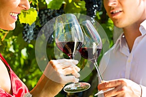 Couple standing at vineyard and drinking wine