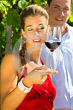Couple standing at vineyard and drinking wine