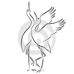 Couple of storks dancing. Love affair logo.