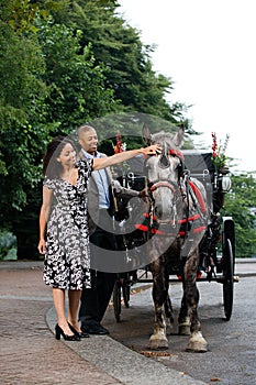 Couple stroking horse