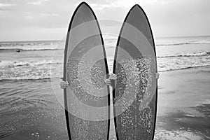 Couple of surfers behind the surfboards photo