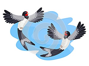 Couple of swallows against the background of the sky, fly and look at each other Vector illustration