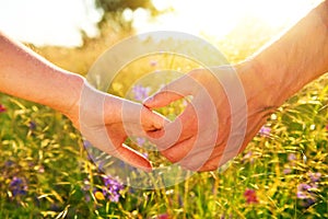 Couple taking hands and walking on the meadow field