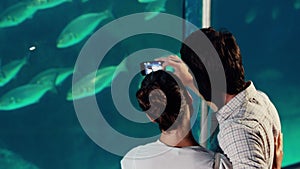 couple taking photo of fish