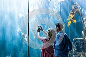 Couple taking photo of fish in the tank