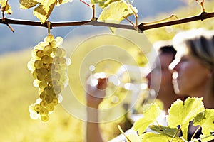 Couple tasting wine in vineyard