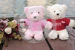 couple teddy bears picnic in garden