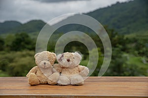 Couple of Teddy Bears sitting on wood table with green tree and mountain background.Teddy Bear is a gift,toy and best friend for