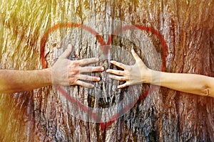 Couple touching heart in sunlight