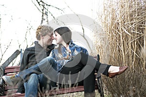 Couple Touching Noses On Park Bench