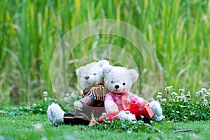 Couple toy bears