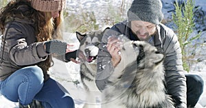 Couple, trail and snow in winter, dogs and playing on mountain, animal and holiday. Vacation, pet and Alaskan Malamute