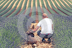 Couple travellers in lavender fields in Provence