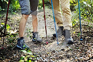 Couple trekking together in the forest