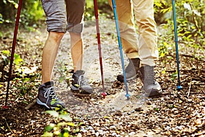 Couple trekking together into the forest