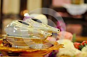 A couple of trumpet shells, using as a part of traditional Thai wedding