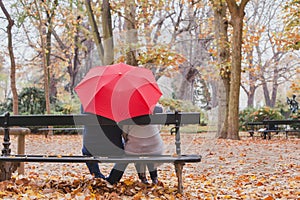 Couple under umbrella in autumn park, love concept