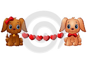 Couple valentine dogs with red heart