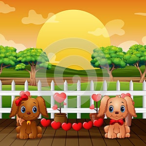 Couple valentine dogs with red heart in the park