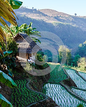 Couple visit a rice farm with rice fields in Northern Thailand,rice paddies in mountains Chiang Mai