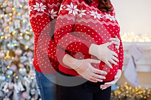 Couple waiting baby for Christmas