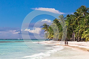 Couple walk on tropical island beach with perfect sunny sky