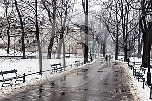 couple walking along path surrounded by trees, in winter, carrying a bag. krakow, poland