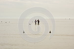 Couple walking in calm sea