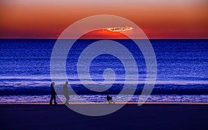 Couple walking a dog on beach