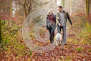 Couple Walking Dog Through Winter Woodland