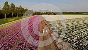 Couple walking in flower field during Spring in the Netherlands, boy and girl in Tulip field, men and woman in colorful