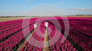 Couple walking in flower field during Spring in the Netherlands, boy and girl in Tulip field, men and woman in colorful