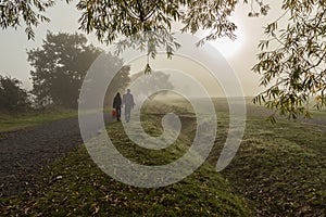 Couple walking in the forest in the fog.