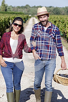 couple walking through grape vines carrying wicker basket