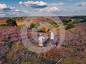 Couple walking in the meadows, Posbank national park Veluwezoom, blooming Heather fields during Sunrise at the Veluwe in photo