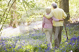 Couple walking outdoors with walking stick photo