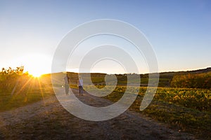 Couple walking over the French vineyard