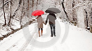 Couple walking in the park