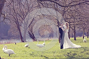 Couple walking in a park surrounded by swans