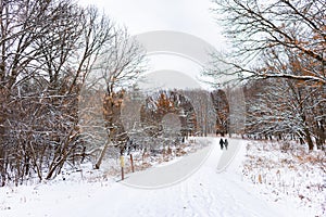 Couple Walking on a Snow Covered Trail in a Midwestern Forest