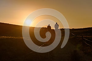 couple walking in the sunlight