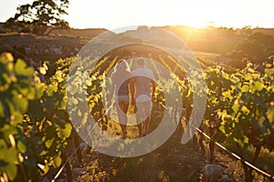 Couple walking through sunlit vineyard at sunset