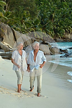 Couple walking on tropical beach