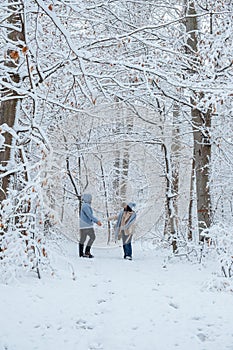 A couple is walking through the winter forest.