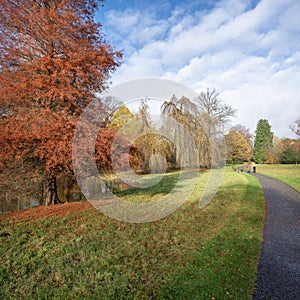 couple walks in colorful autumn park near utrecht in the netherlands