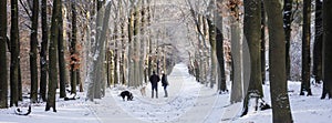 couple walks dogs in snow covered forest near utrecht in holland