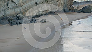 The couple walks with their two dogs along the beach along the cliff