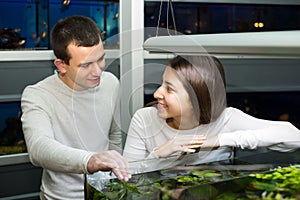 Couple watching fish in petshop